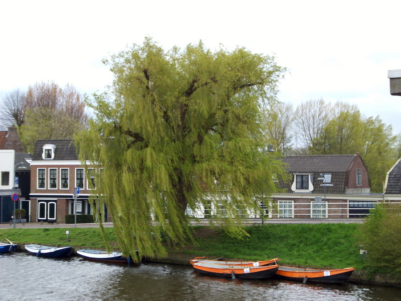 Oranjeroeien2012-014